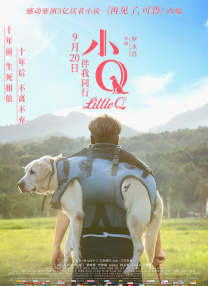 国产在播放一区